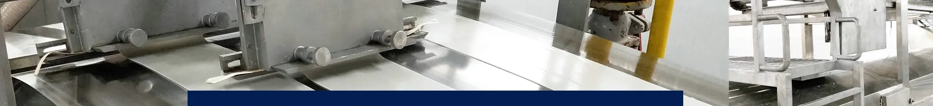 Fresh Scallops Manufacturer
